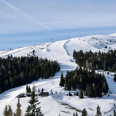 Edelweiss Gaestehaus Penzion