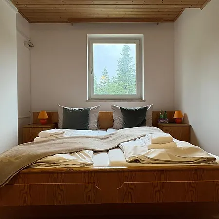 Edelweiss Gaestehaus 3* Lachtal