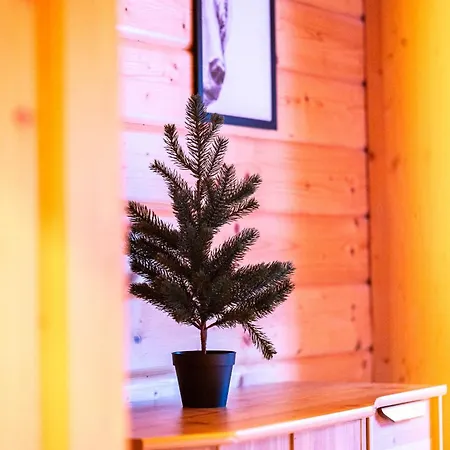 Edelweiss Gaestehaus Pensión