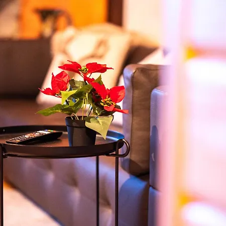 Edelweiss Gaestehaus Pensión