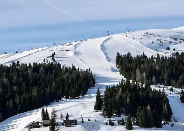 Edelweiss Gaestehaus Pensionat